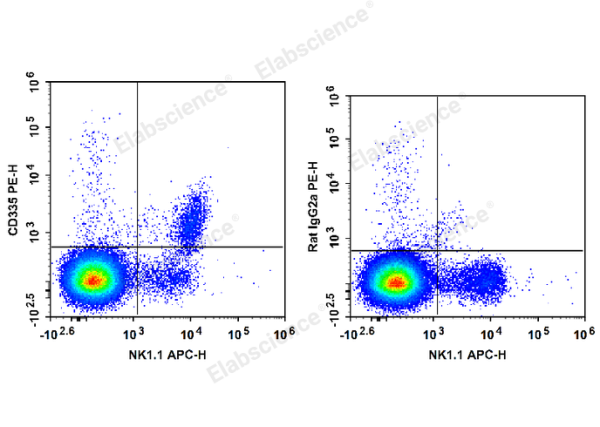 PE Anti-Mouse CD335/NKp46 Antibody[29A1.4] (E-AB-F1182D)