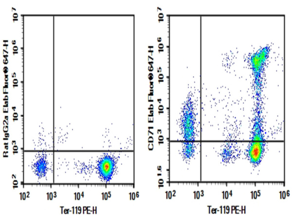 Purified Anti-Mouse CD71 Antibody[R17 217.1.3/TIB-219] (E-AB-F1093A)