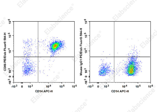 PE/Elab Fluor® 594 Anti-Human CD86 Antibody[BU63] (E-AB-F1012P)
