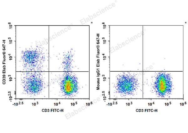 Elab Fluor® 647 Anti-Human CD39 Antibody[A1] (E-AB-F1165M)