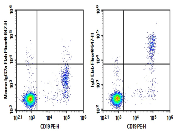 Purified Anti-Human IgD Antibody[IA6-2] (E-AB-F11710P)
