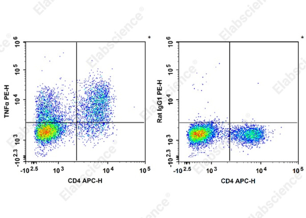 PE Anti-Mouse TNFα Antibody[XT3.11] (AN00567D)
