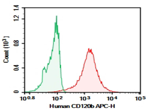 Purified Anti-Human CD120b Antibody[H370-4B4] (AN007460P)