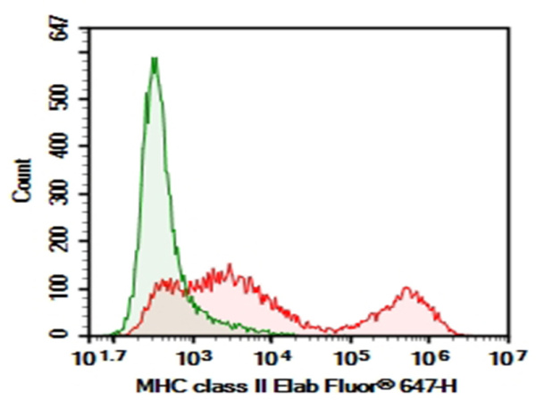 Purified Anti-Mouse MHC II (I-A/I-E) Antibody[M5/114] (E-AB-F0990A)