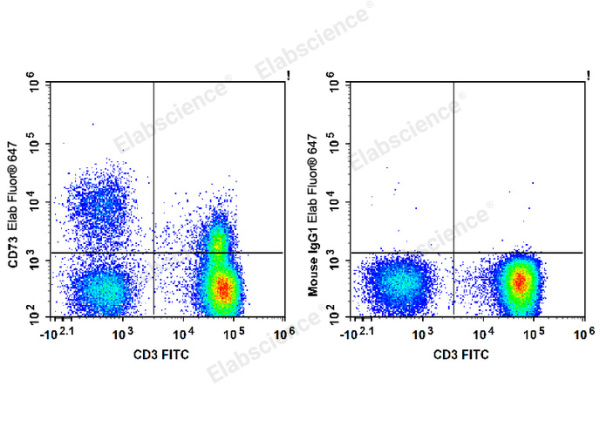 Elab Fluor® 647 Anti-Human CD73 Antibody[AD2] (E-AB-F1242M)