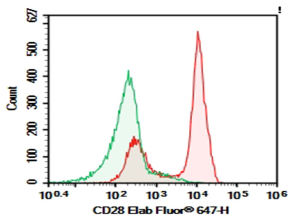 Purified Anti-Human CD28 Antibody[CD28.2] (E-AB-F1195A)