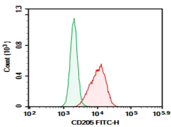 AF/LE Purified Anti-Mouse CD205 Antibody[NLDC-145] (AN008440)