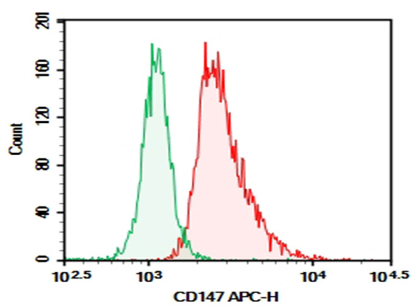 Purified Anti-Human CD147 Antibody[6H8] (AN004030P)
