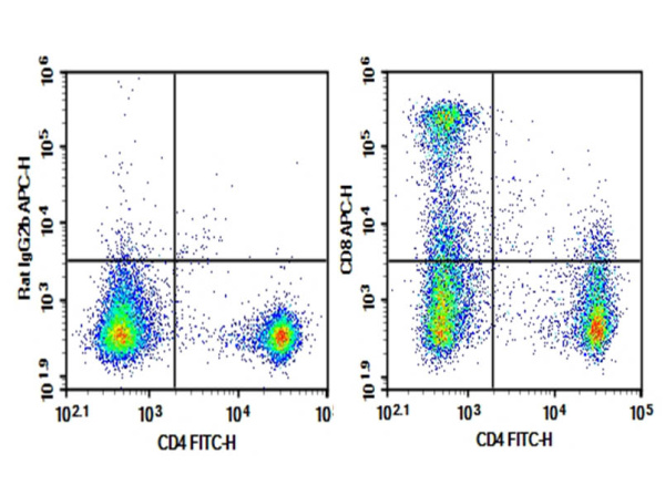 Purified Anti-Mouse CD8 Antibody[5H10-1] (AN009330P)