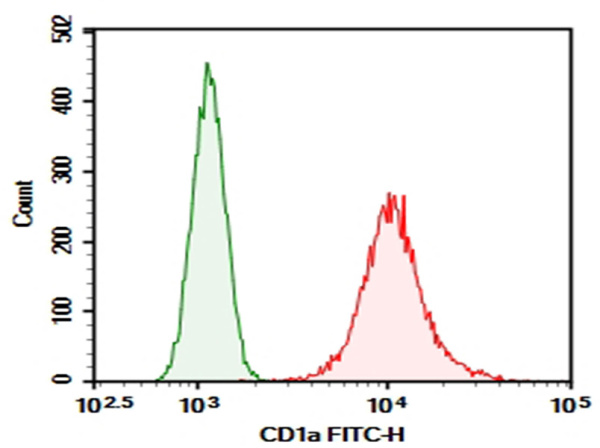 Purified Anti-Human CD1a Antibody[Ab571] (E-AB-F13730P)