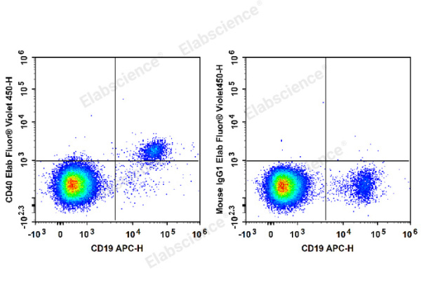 Elab Fluor® Violet 450 Anti-Human CD40 Antibody[G28.5] (E-AB-F1214Q)