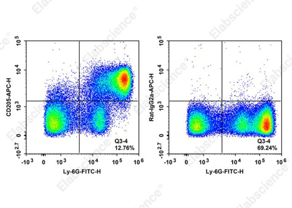 APC Anti-Mouse CD205 Antibody[NLDC-145] (AN00844E)