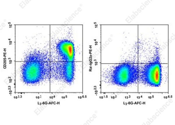 PE Anti-Mouse CD205 Antibody[NLDC-145] (AN00844D)