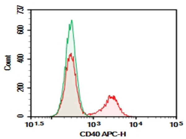 Purified Anti-Mouse CD40 Antibody[3/23] (AN008640P)
