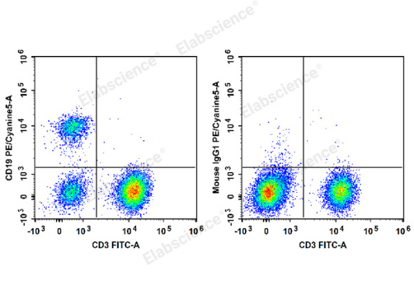 PE/Cyanine5 Anti-Human CD19 Antibody[HI19a] (E-AB-F1304G)