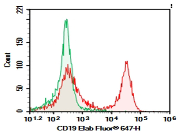 Purified Anti-Mouse CD19 Antibody[1D3] (E-AB-F0986A)
