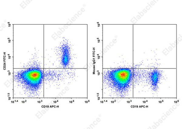 FITC Anti-Human CD24 Antibody[HIQB24] (AN00645C)
