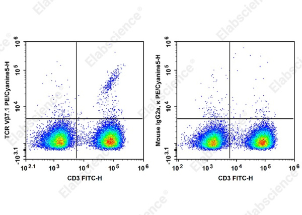 PE/Cyanine 5 Anti-Human TCR Vβ7.1 Antibody[ZOE5.1] (AN00370G)