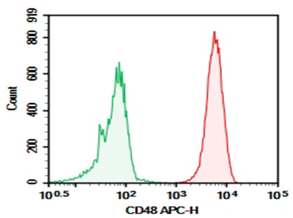 Purified Anti-Human CD48 Antibody[BJ40] (AN009400P)