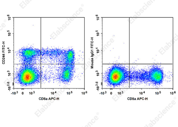 FITC Anti-Human CD244 Antibody[C1.7] (E-AB-F1374C)