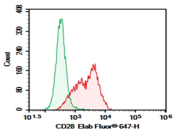 Purified Anti-Mouse CD28 Antibody[37.51] (E-AB-F1026A)