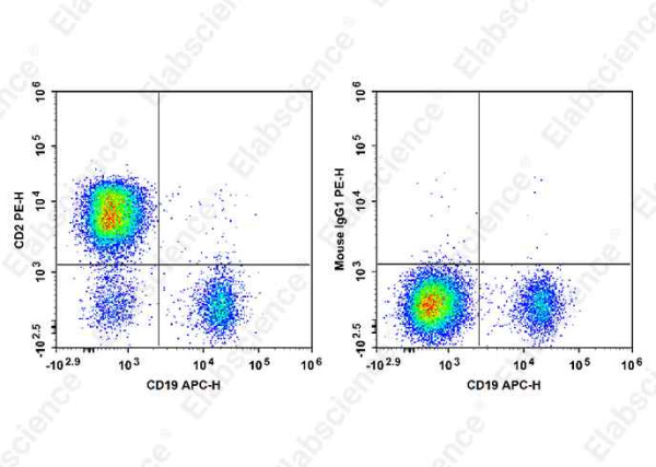 PE Anti-Human CD2 Antibody[HIT11] (E-AB-F1311D)