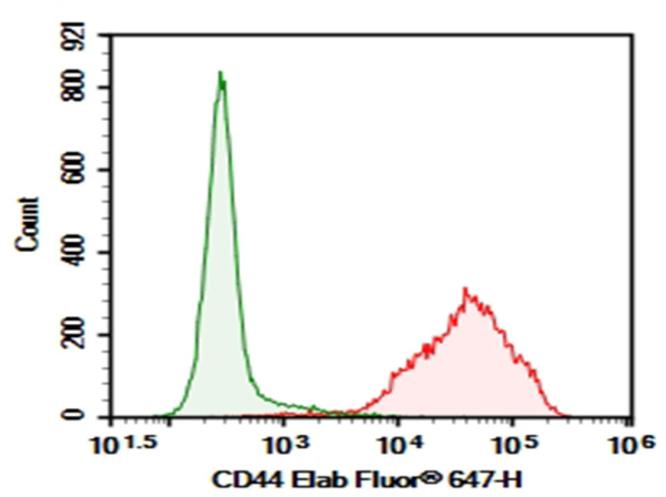 Purified Anti-Human/Mouse CD44 Antibody[IM7] (E-AB-F1100A)