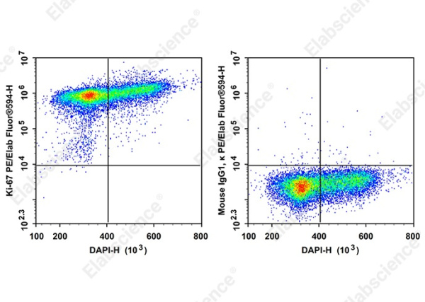 PE/Elab Fluor®594 Anti-Human Ki-67 Antibody[3B7] (AN00540P)