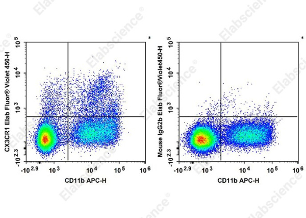 Elab Fluor® Violet 450 Anti-Mouse CX3CR1 Antibody[SA011F11] (AN01022Q)