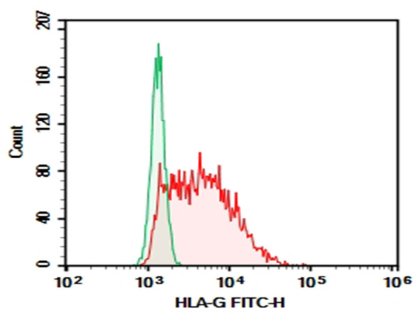 AF/LE Purified Anti-Human HLA-G Antibody[87G] (AN002910)