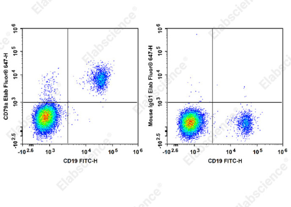 Elab Fluor® 647 Anti-Human CD79a Antibody[HM47] (E-AB-F1370M)