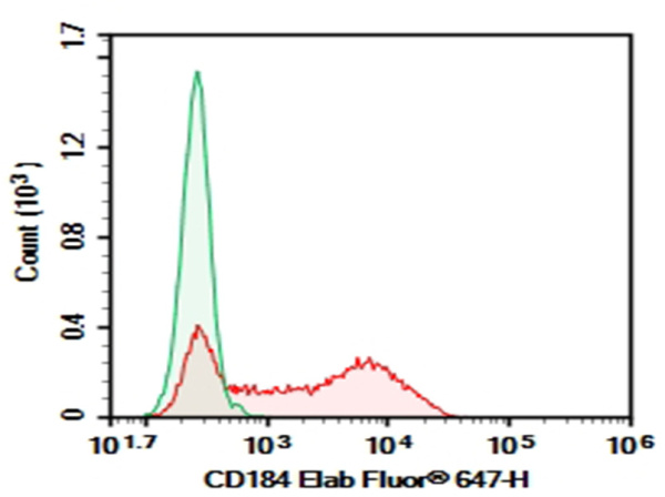 Purified Anti-Human CD184 Antibody[12G5] (E-AB-F1157A)