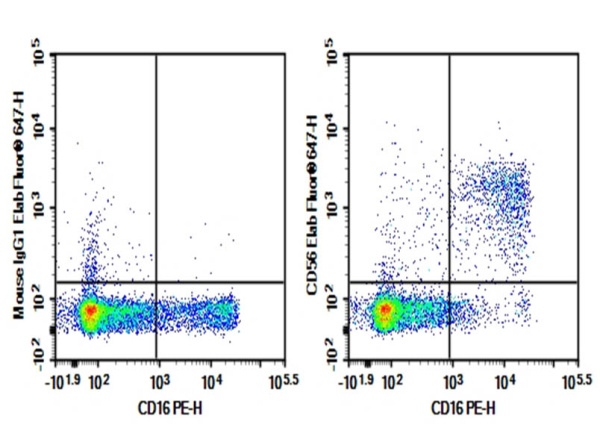 Purified Anti-Human CD56 Antibody[HCD56] (AN008650P)