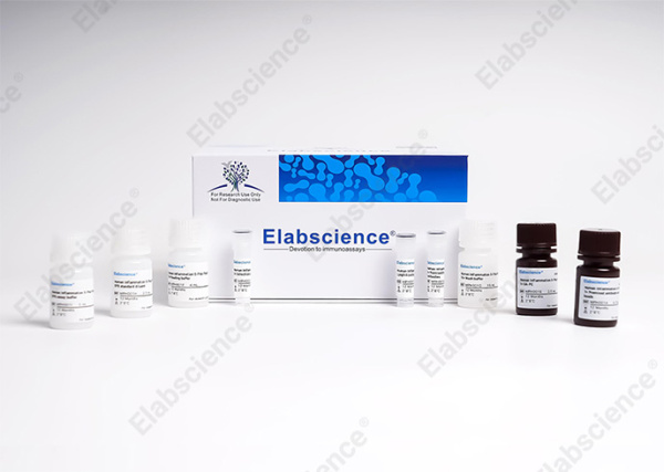 Aptplex™ Human Cytokine 16-Plex Panel (C) (MPD015)