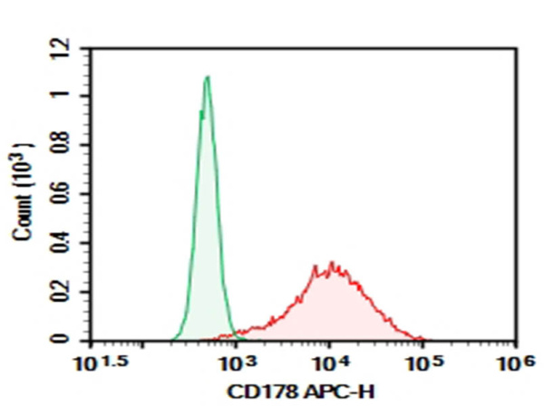 AF/LE Purified Anti-Human CD178 Antibody[NOK-1] (AN009640)
