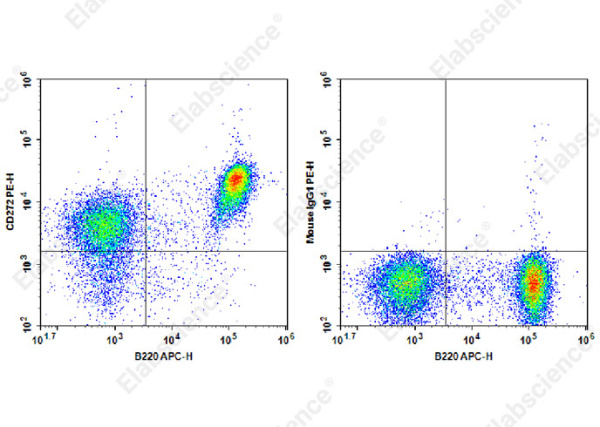 PE Anti-Mouse CD272 Antibody[6F7] (AN00415UD)
