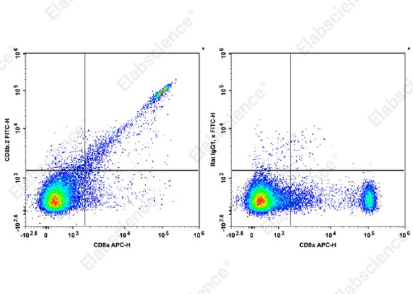 FITC Anti-Mouse CD8b.2 Antibody[53-5.8] (AN00564C)