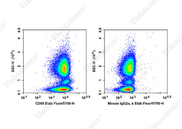 Elab Fluor® 700 Anti-Human CD55 Antibody[HI55a] (AN00336M1)