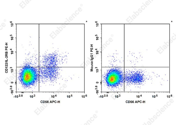 PE Anti-Human CD122/IL-2RB Antibody[TU27] (E-AB-F1151D)