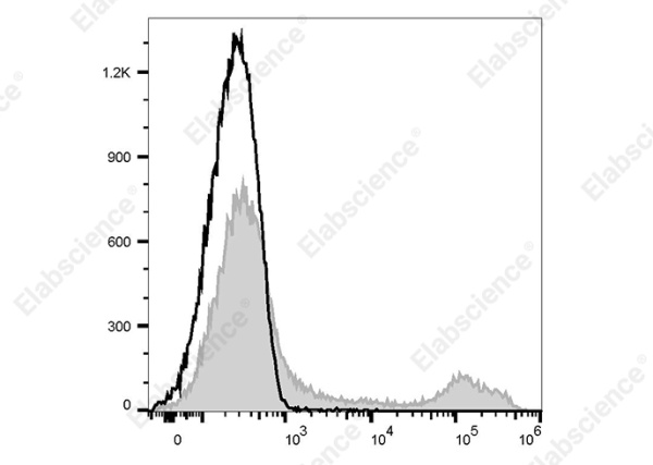 PE Anti-Rat CD71 Antibody[OX-26] (AN00622UD)