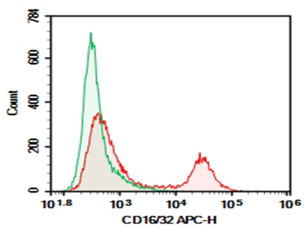 Purified Anti-Mouse CD16/32 Antibody[93] (AN009280P)