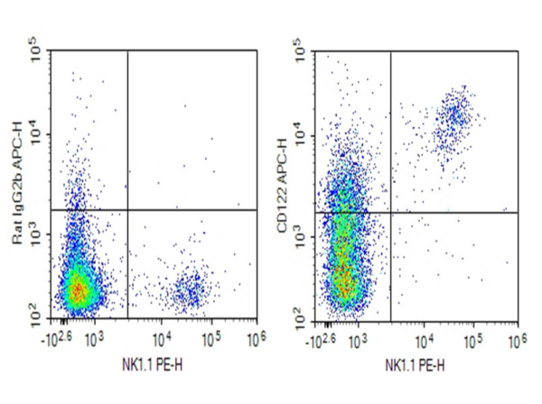 AF/LE Purified Anti-Mouse CD122 Antibody[TM-Beta 1] (AN004180)