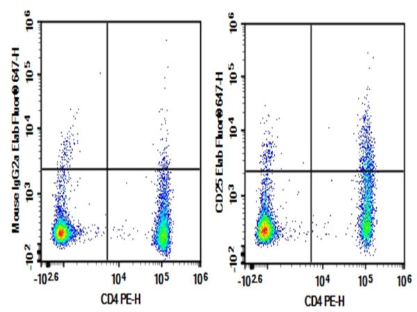 Purified Anti-Human CD25 Antibody[7G7B6] (AN007550P)