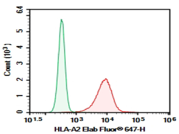 Purified Anti-Human HLA-A2 Antibody[BB7.2] (AN007390P)