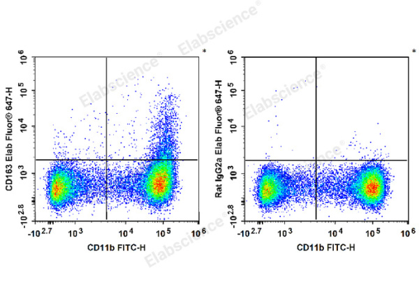 Elab Fluor® 647 Anti-Mouse CD163 Antibody[S15049F] (E-AB-F1295UM)