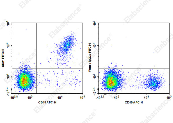 FITC Anti-Human CD21 Antibody[HB5] (E-AB-F1377C)