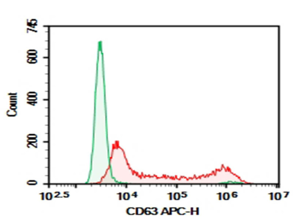 Purified Human CD63 Antibody[H5C6] (E-AB-F1302A)