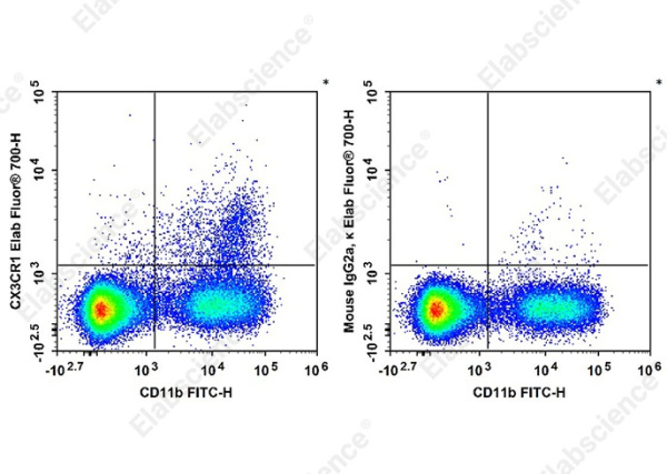 Elab Fluor®700 Anti-Mouse CX3CR1 Antibody[SA011F11] (AN01022M1)
