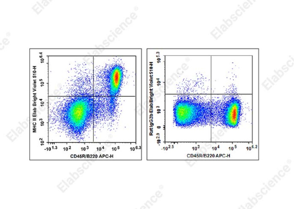Elab Bright™ Violet 510 Anti-Mouse MHC II (I-A/I-E) Antibody[M5/114] (E-AB-F0990R1)