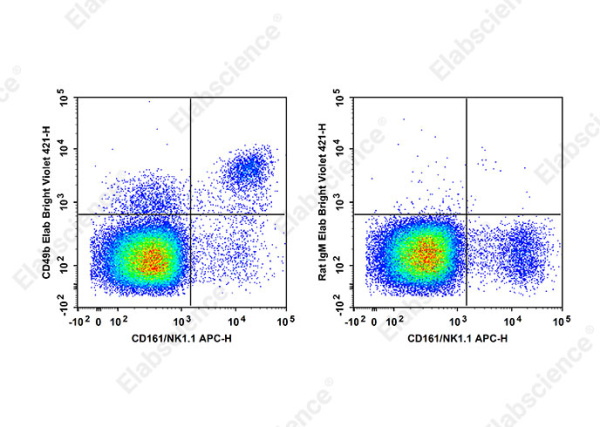 Elab Bright™ Violet 421 Anti-Mouse CD49b/pan-NK cells Antibody[DX5] (E-AB-F1116Q2)